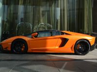 DMC Lamborghini Aventador LP700-4 Roadster SV (2013) - picture 3 of 8