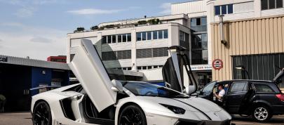 DMC Lamborghini Aventador LP900 SV Spezial Version (2013) - picture 7 of 17