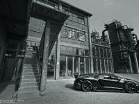 DMC Lamborghini LP988 Edizione GT (2014) - picture 4 of 9
