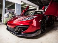 DMC McLaren HS-12 Velocita SE (2013) - picture 6 of 10