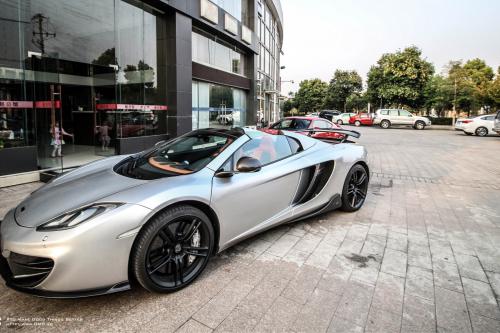 DMC McLaren MSO MP4 (2014) - picture 1 of 7