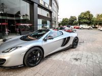 DMC McLaren MSO MP4 (2014) - picture 1 of 7