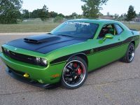 Dodge Challenger Targa (2008) - picture 3 of 5