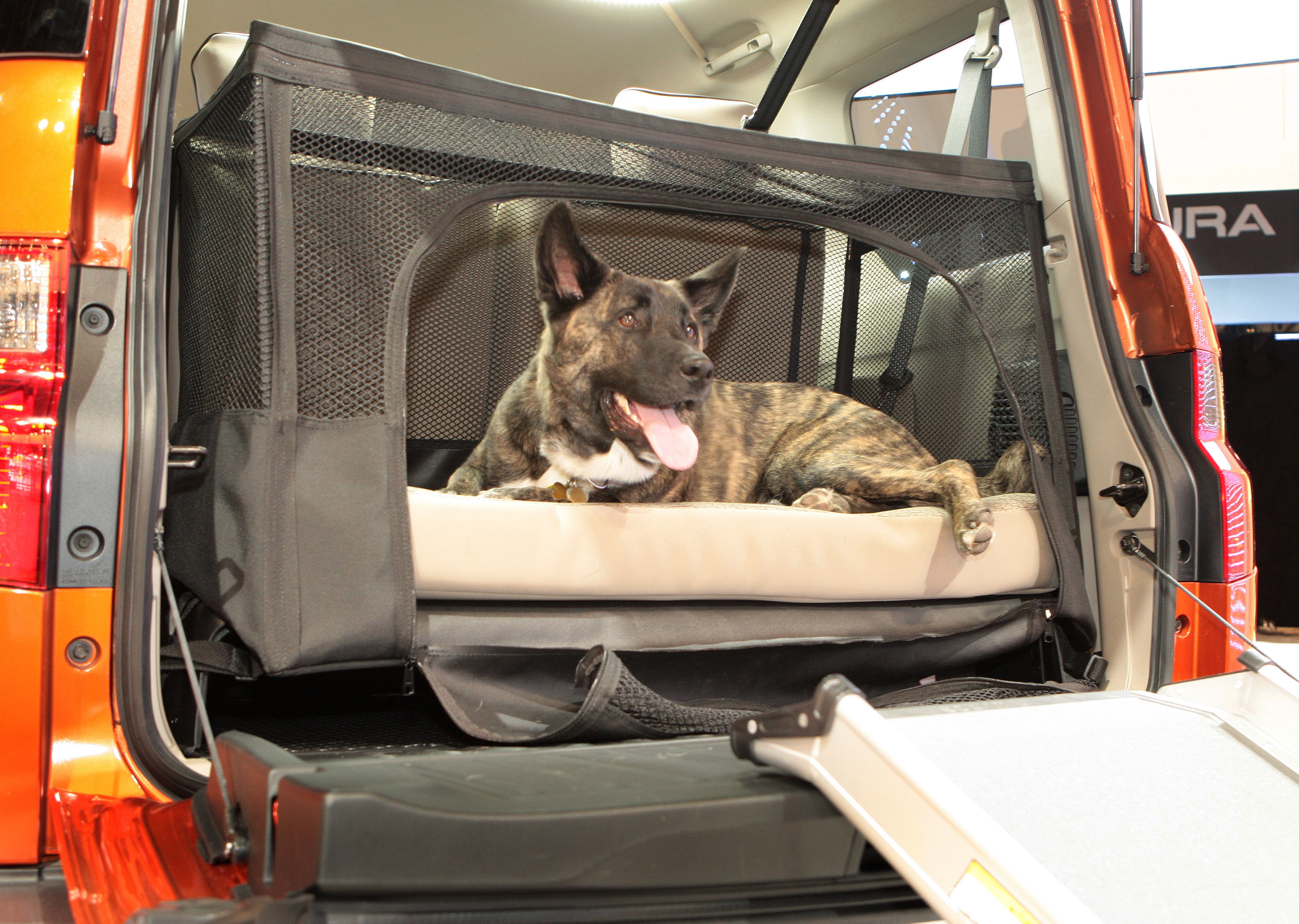 Dog Friendly Honda Element Concept