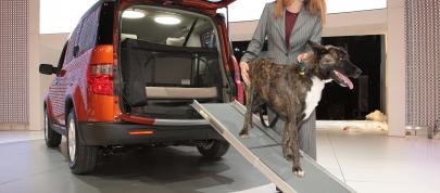 Dog Friendly Honda Element Concept (2010) - picture 12 of 16