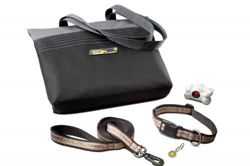 Dog Friendly Honda Element Concept (2010) - picture 8 of 16