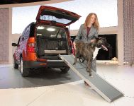 Dog Friendly Honda Element (2010)