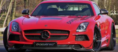 Domanig Mercedes-Benz SLS AMG Black Series (2014) - picture 7 of 7