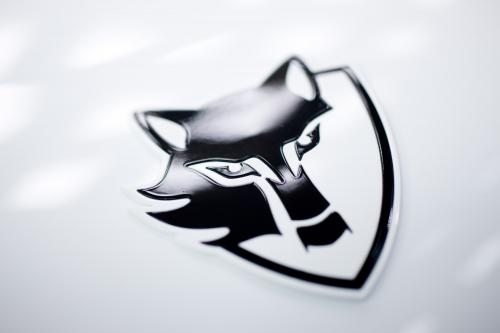 e-WOLF e-1 (2008) - picture 9 of 27