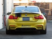 EAS KW Clubsport BMW M4 (2015) - picture 6 of 11