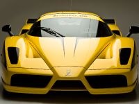 edo competition Ferrari Enzo XX Evolution (2009) - picture 14 of 24