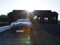 edo competition Ferrari California (2009) - picture 6 of 19