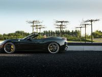 edo competition Ferrari California (2009) - picture 10 of 19