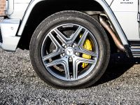 Edo Competition Mercedes-Benz G63 AMG (2014)