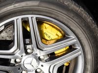 Edo Competition Mercedes-Benz G63 AMG (2014) - picture 10 of 11