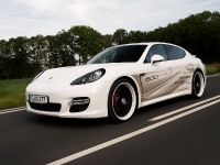 edo Competition Porsche Panamera Turbo S (2012)
