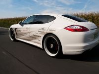 edo Competition Porsche Panamera Turbo S (2012) - picture 11 of 25