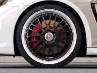 edo Competition Porsche Panamera Turbo S (2012) - picture 22 of 25