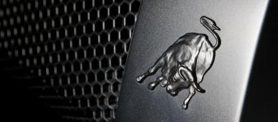 edo competition Lamborghini LP710 Audigier (2009) - picture 20 of 20