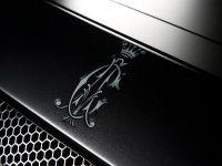 edo competition Lamborghini LP710 Audigier (2009) - picture 5 of 20