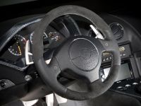 edo competition Lamborghini LP710 Audigier (2009) - picture 6 of 20