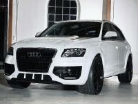 ENCO Exclusive Audi Q5 (2010) - picture 3 of 11
