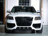 ENCO Exclusive Audi Q5 (2010) - picture 5 of 11