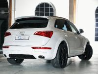 ENCO Exclusive Audi Q5 (2010) - picture 4 of 11