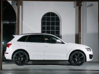 ENCO Exclusive Audi Q5 (2010) - picture 5 of 11