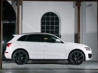 ENCO Exclusive Audi Q5 (2010) - picture 7 of 11