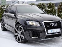 ENCO Exclusive Audi Q5 (2010) - picture 1 of 11
