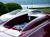 Bugatti Veyrons and Type 35 Grand Prix (2009) - picture 13 of 16