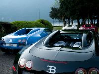Bugatti Veyrons and Type 35 Grand Prix (2009) - picture 14 of 16