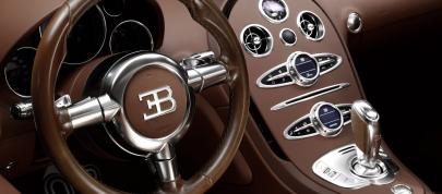 Ettore Bugatti Veyron (2014) - picture 7 of 14