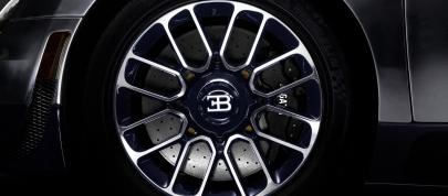 Ettore Bugatti Veyron (2014) - picture 12 of 14