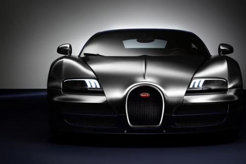 Ettore Bugatti Veyron (2014) - picture 1 of 14