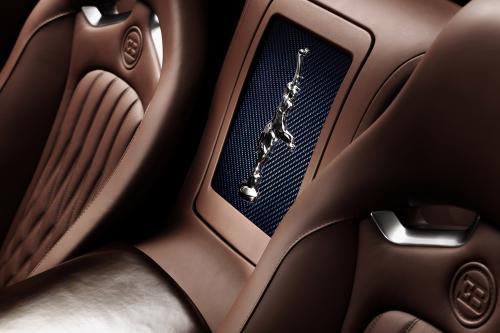 Ettore Bugatti Veyron (2014) - picture 8 of 14
