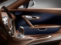 Ettore Bugatti Veyron (2014) - picture 6 of 14
