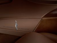Ettore Bugatti Veyron (2014) - picture 10 of 14