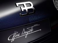Ettore Bugatti Veyron (2014) - picture 13 of 14