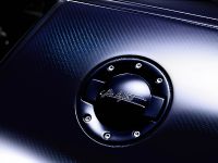 Ettore Bugatti Veyron (2014) - picture 14 of 14
