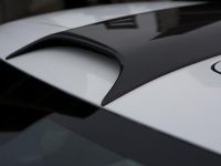 FAB Design Mercedes-Benz SLS Gullstream (2011) - picture 14 of 20