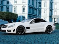 Famous Parts Mercedes-Benz SL500 (2013) - picture 2 of 6