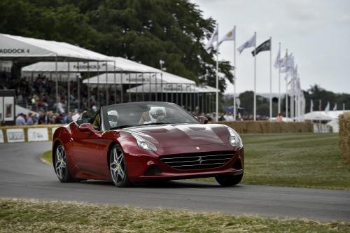 Ferrari  Goodwood Festival of Speed (2014) - picture 24 of 27