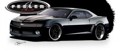 Fesler-Moss  Chevrolet Camaro (2010) - picture 7 of 14
