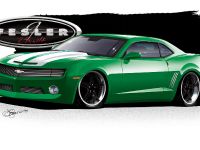 Fesler-Moss  Chevrolet Camaro (2010) - picture 3 of 14