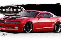 Fesler-Moss  Chevrolet Camaro (2010) - picture 5 of 14