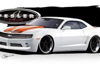 Fesler-Moss  Chevrolet Camaro (2010) - picture 7 of 14