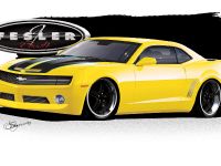 Fesler-Moss  Chevrolet Camaro (2010) - picture 8 of 14