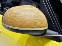 Fiat 500L Geneva (2014)